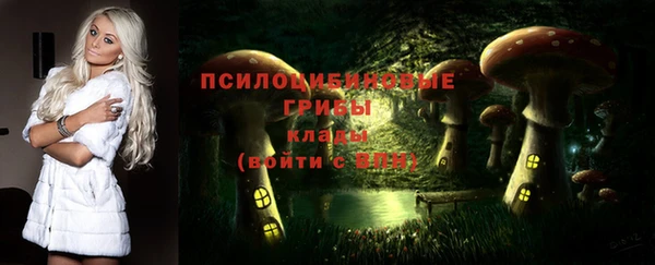 марки nbome Инта