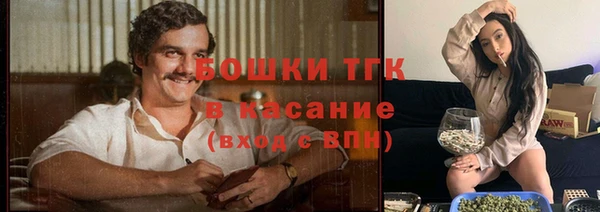 эйфоретик Инсар