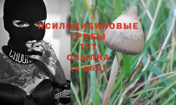 эйфоретик Инсар