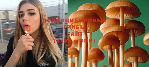 марки nbome Инта
