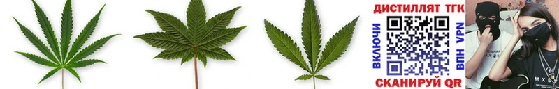 Купить где  Дрезна  ТГК THC oil 