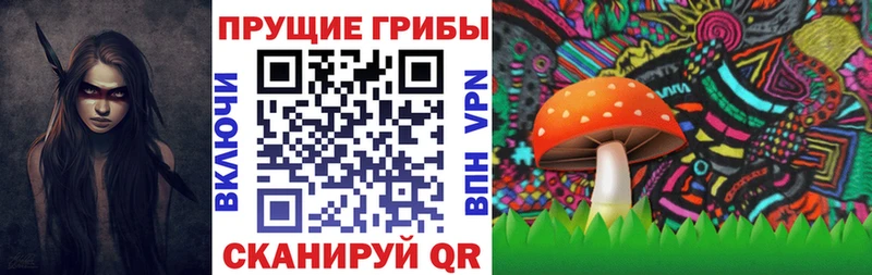 Псилоцибиновые грибы Psilocybe  Купить  Дрезна 